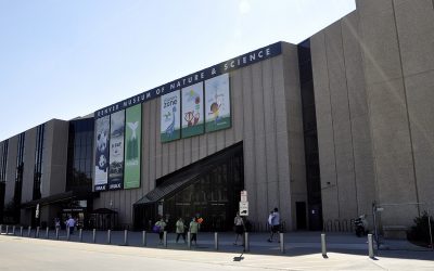 Projects at Denver Museum of Nature & Science Help Fulfill Curiosity